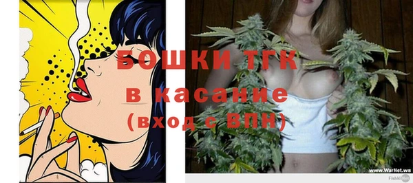 стаф Абинск