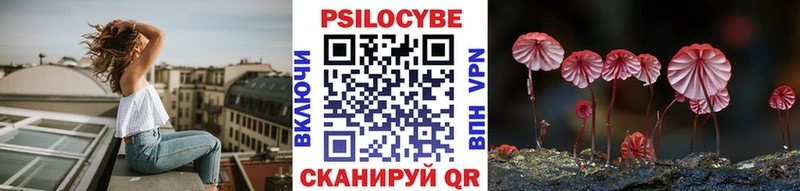цена   Серпухов  blacksprut   Галлюциногенные грибы мицелий 