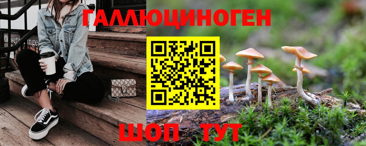 Галлюциногенные грибы Psilocybe  Галлюциногенные грибы GOLDEN TEACHER  Вход с VPN  Серпухов 
